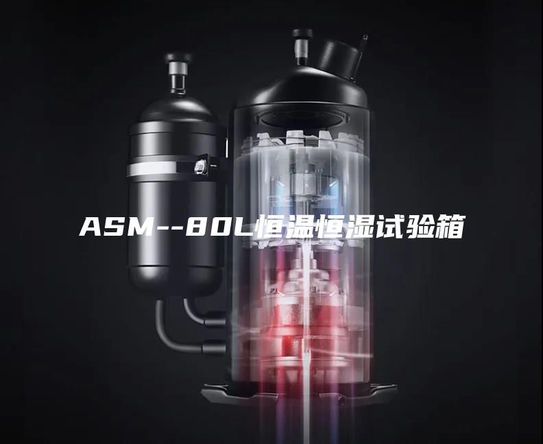 ASM--80L恒温恒湿试验箱
