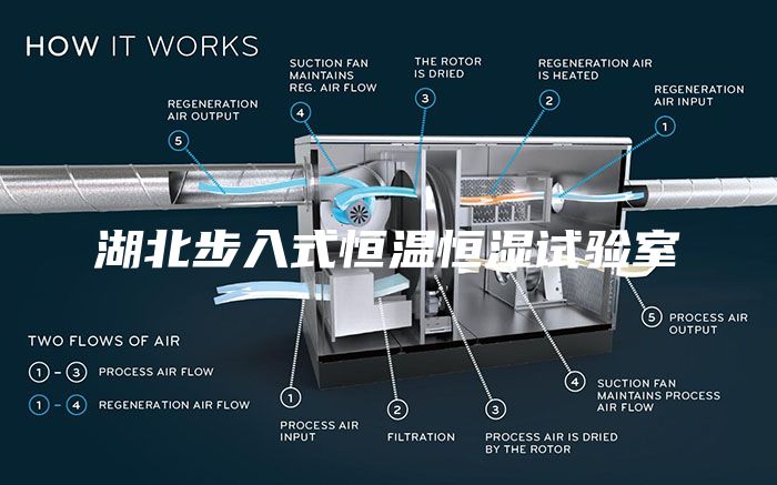 湖北步入式恒温恒湿试验室