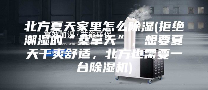 北方夏天家里怎么除湿(拒绝潮湿的“桑拿天”，想要夏天干爽舒适，北方也需要一台除湿机)
