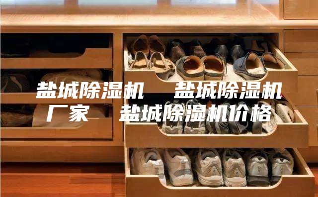 盐城除湿机  盐城除湿机厂家  盐城除湿机价格