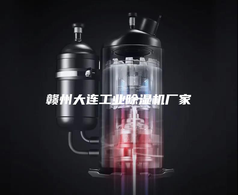 赣州大连工业除湿机厂家
