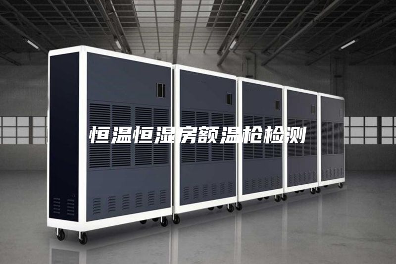 恒温恒湿房额温枪检测