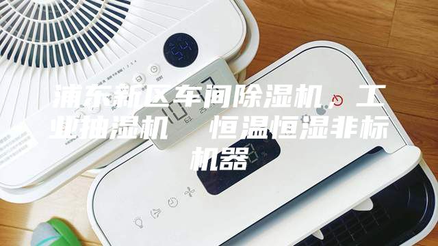 浦东新区车间除湿机，工业抽湿机  恒温恒湿非标机器