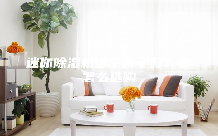 迷你除湿机哪个牌子好？要怎么选购