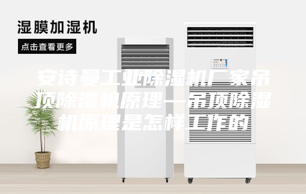 安诗曼工业除湿机厂家吊顶除湿机原理—吊顶除湿机原理是怎样工作的