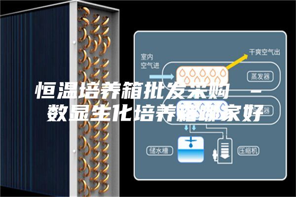 恒温培养箱批发采购 – 数显生化培养箱哪家好