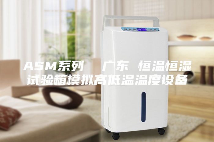 ASM系列  广东 恒温恒湿试验箱模拟高低温温度设备