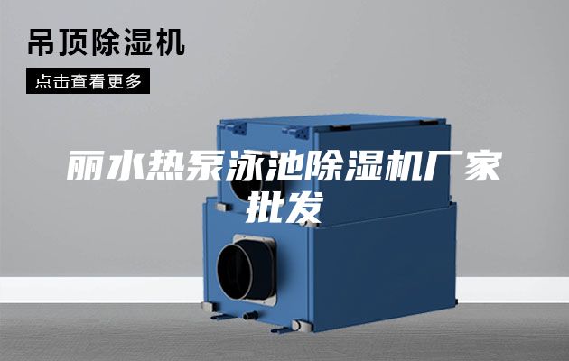 丽水热泵泳池除湿机厂家批发