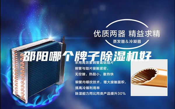 邵阳哪个牌子除湿机好