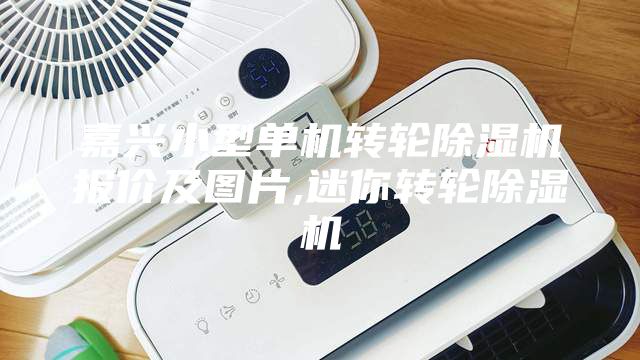 嘉兴小型单机转轮除湿机报价及图片,迷你转轮除湿机