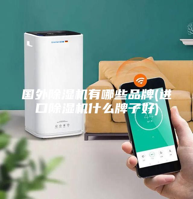 国外除湿机有哪些品牌(进口除湿机什么牌子好)