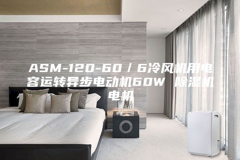ASM-120-60／6冷风机用电容运转异步电动机60W 除湿机电机