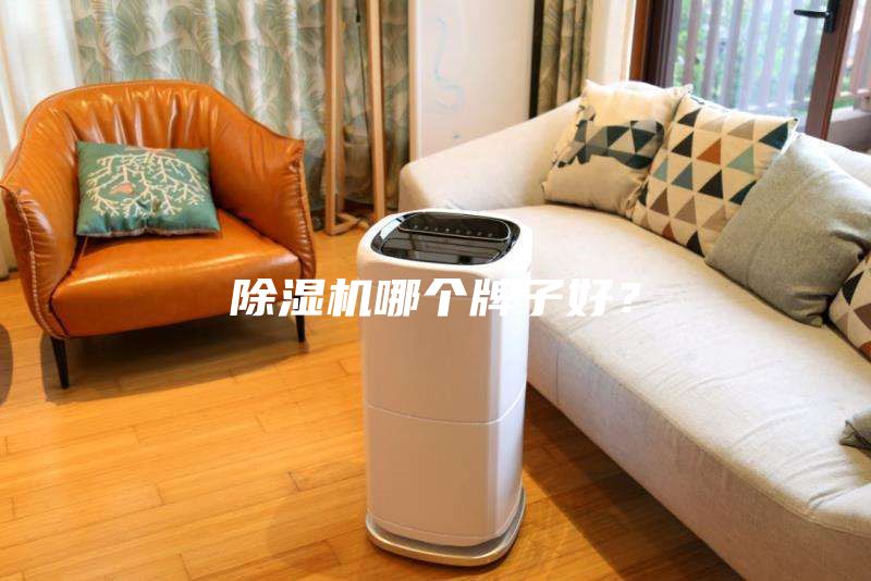 除湿机哪个牌子好？