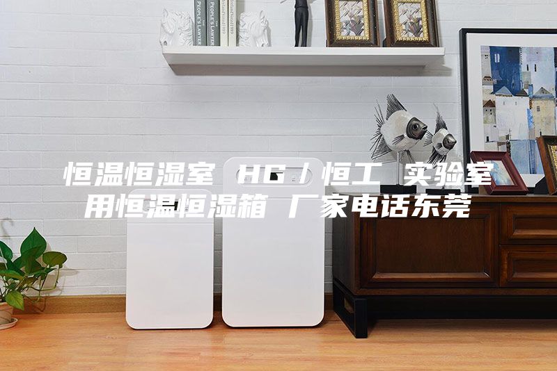 恒温恒湿室 HG／恒工 实验室用恒温恒湿箱 厂家电话东莞