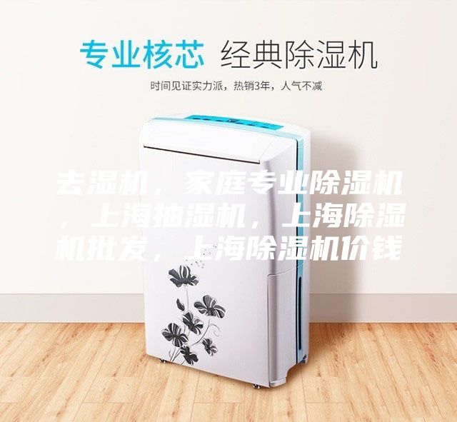 去湿机，家庭专业除湿机，上海抽湿机，上海除湿机批发，上海除湿机价钱