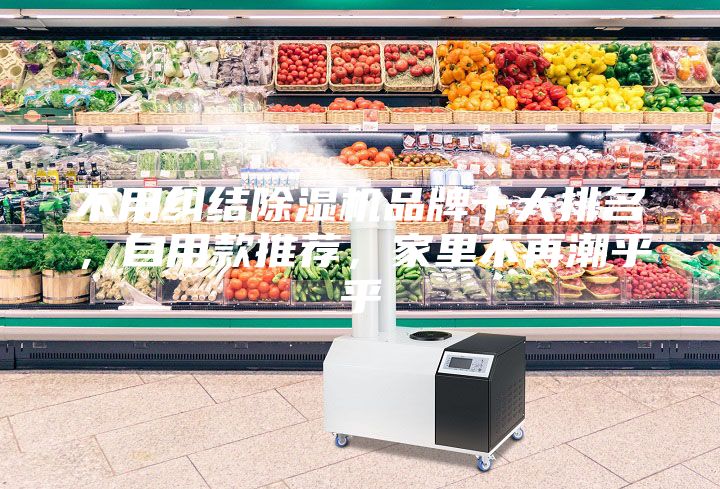 不用纠结除湿机品牌十大排名，自用款推荐，家里不再潮乎乎