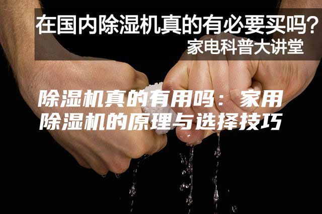 除湿机真的有用吗：家用除湿机的原理与选择技巧