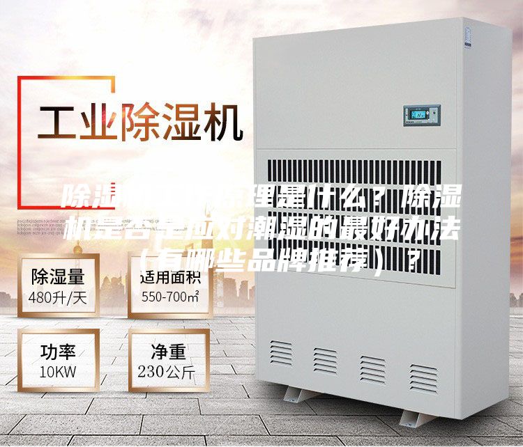 除湿机工作原理是什么？除湿机是否是应对潮湿的最好办法（有哪些品牌推荐）？