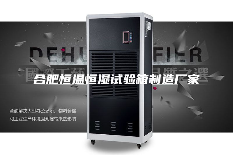 合肥恒温恒湿试验箱制造厂家