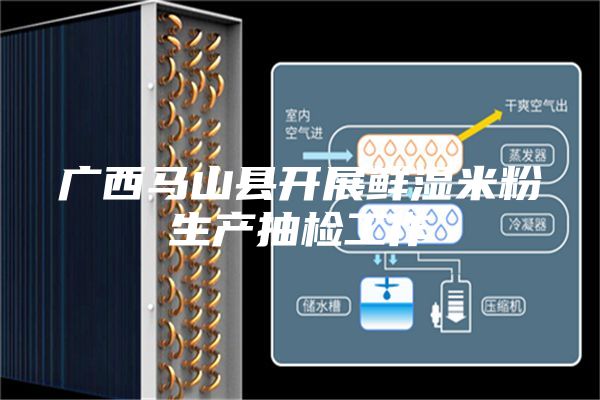 广西马山县开展鲜湿米粉生产抽检工作