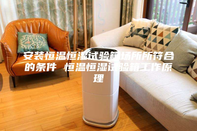 安装恒温恒湿试验箱场所所符合的条件 恒温恒湿试验箱工作原理