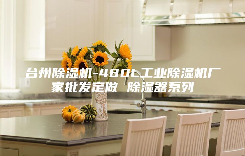 台州除湿机-480L工业除湿机厂家批发定做 除湿器系列