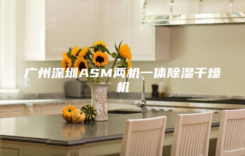广州深圳ASM两机一体除湿干燥机