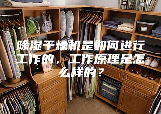 除湿干燥机是如何进行工作的，工作原理是怎么样的？