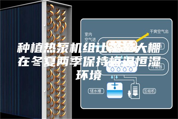 种植热泵机组让温室大棚在冬夏两季保持恒温恒湿环境