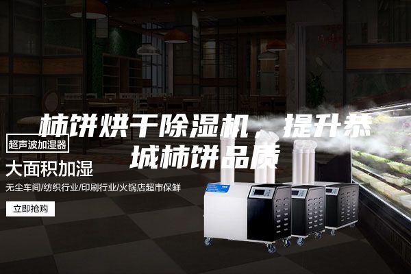 柿饼烘干除湿机，提升恭城柿饼品质