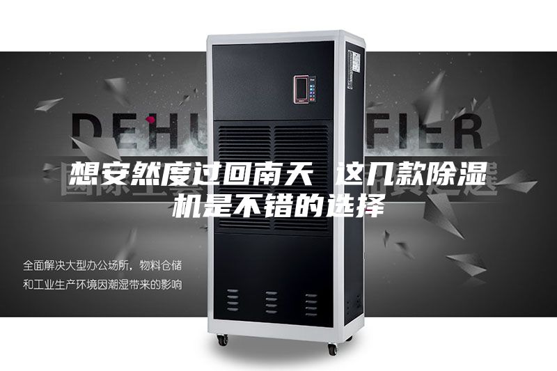 想安然度过回南天 这几款除湿机是不错的选择