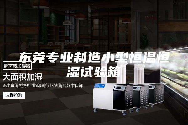 东莞专业制造小型恒温恒湿试验箱