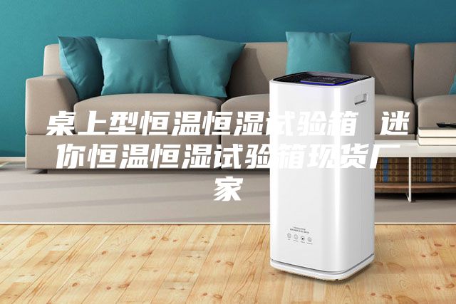桌上型恒温恒湿试验箱 迷你恒温恒湿试验箱现货厂家