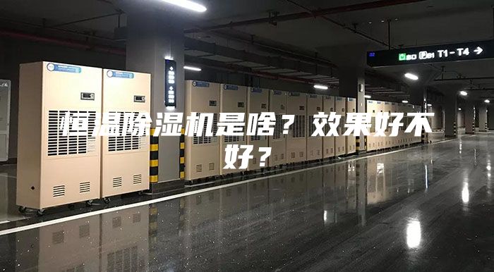 恒温除湿机是啥？效果好不好？