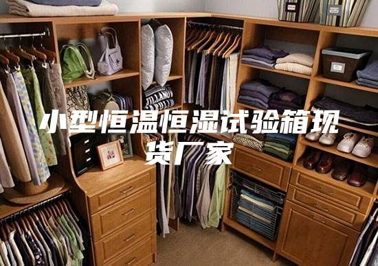 小型恒温恒湿试验箱现货厂家