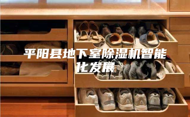平阳县地下室除湿机智能化发展