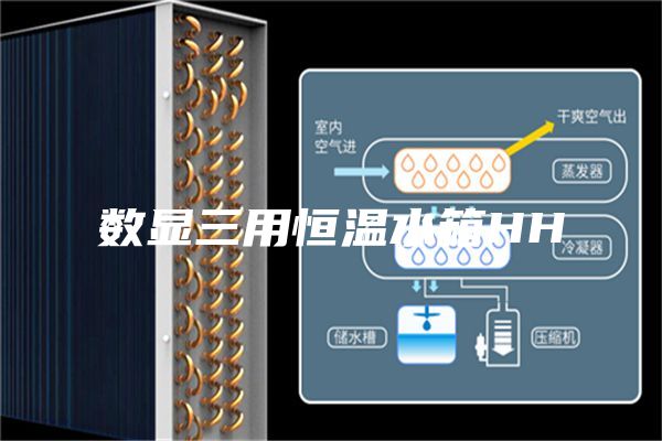数显三用恒温水箱HH