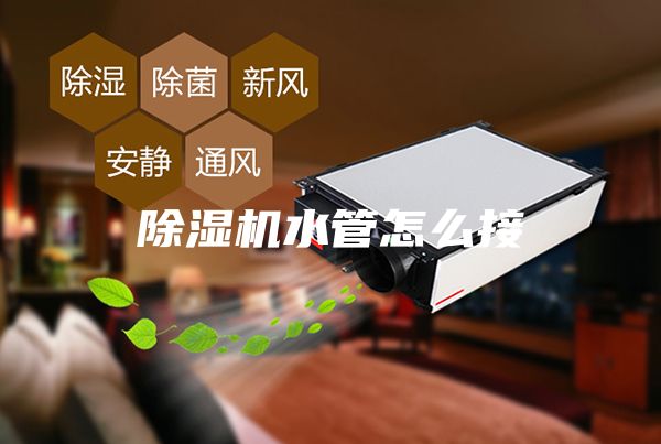 除湿机水管怎么接
