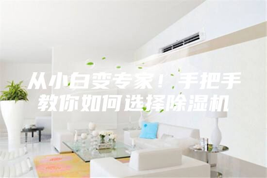 从小白变专家！手把手教你如何选择除湿机