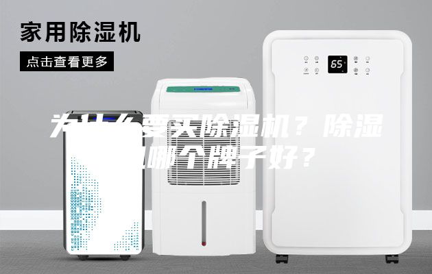 为什么要买除湿机？除湿机哪个牌子好？