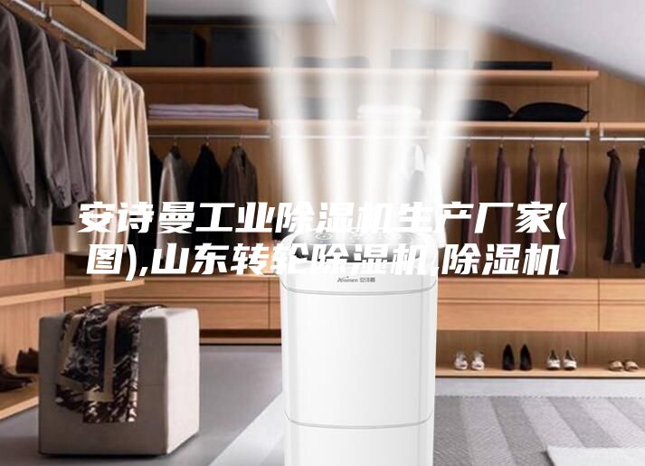 安诗曼工业除湿机生产厂家(图),山东转轮除湿机,除湿机