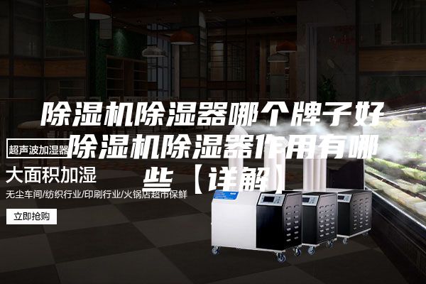 除湿机除湿器哪个牌子好 除湿机除湿器作用有哪些【详解】