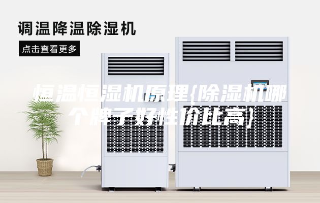 恒温恒湿机原理{除湿机哪个牌子好性价比高}