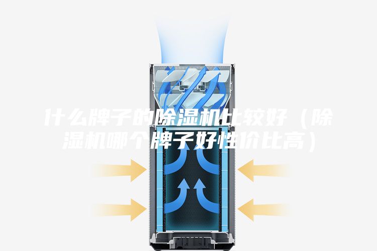 什么牌子的除湿机比较好（除湿机哪个牌子好性价比高）