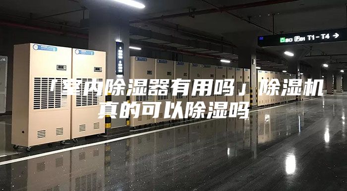 「室内除湿器有用吗」除湿机真的可以除湿吗