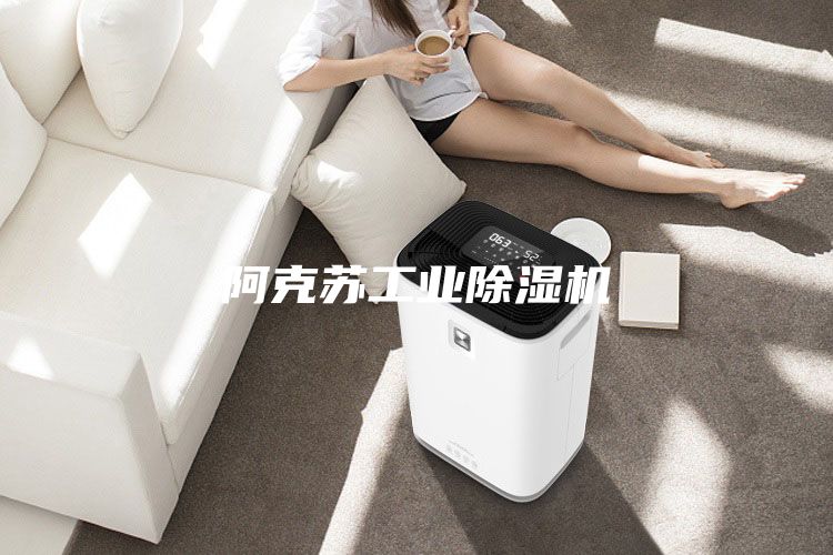阿克苏工业除湿机