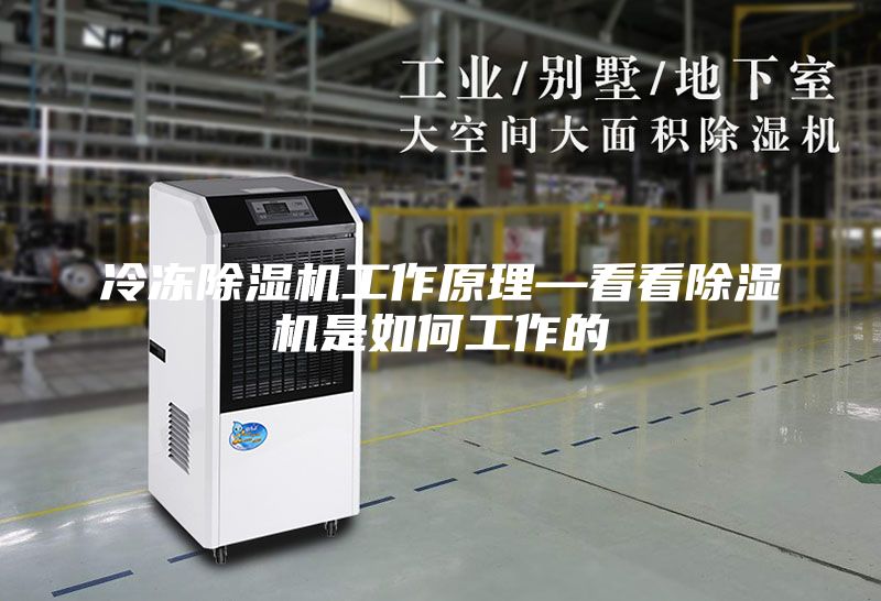 冷冻除湿机工作原理—看看除湿机是如何工作的
