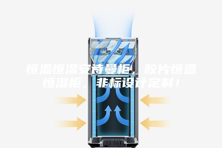 恒温恒湿安诗曼柜，胶片恒温恒湿柜，非标设计定制！