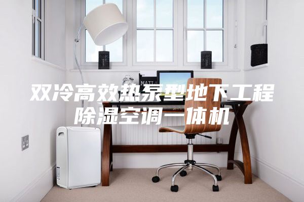 双冷高效热泵型地下工程除湿空调一体机