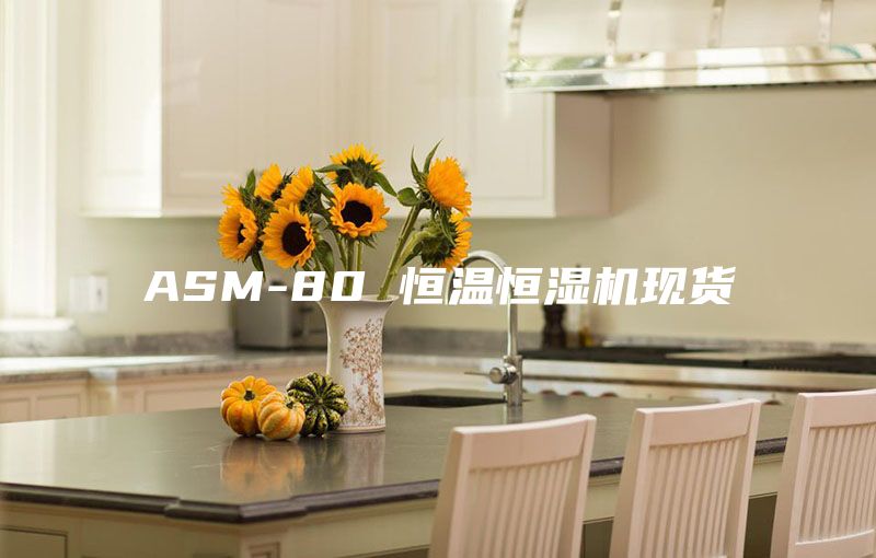 ASM-80 恒温恒湿机现货